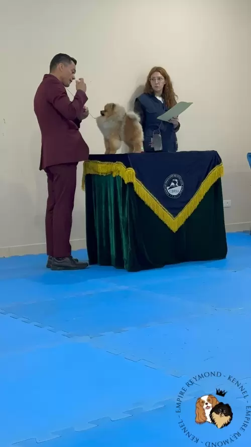 Exposições 