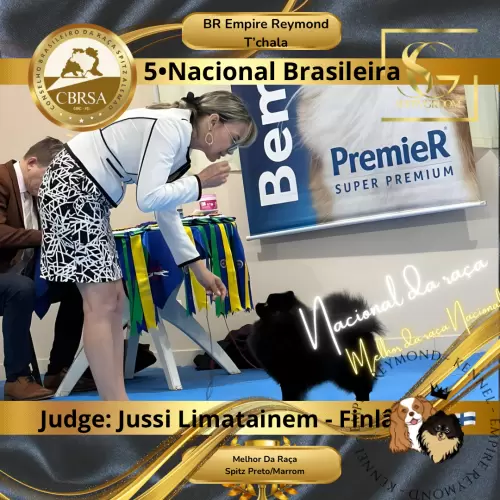 Exposições 