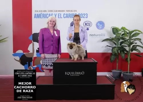 Exposições 