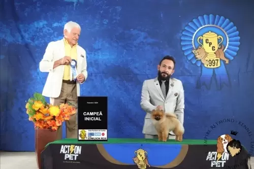 Exposições 